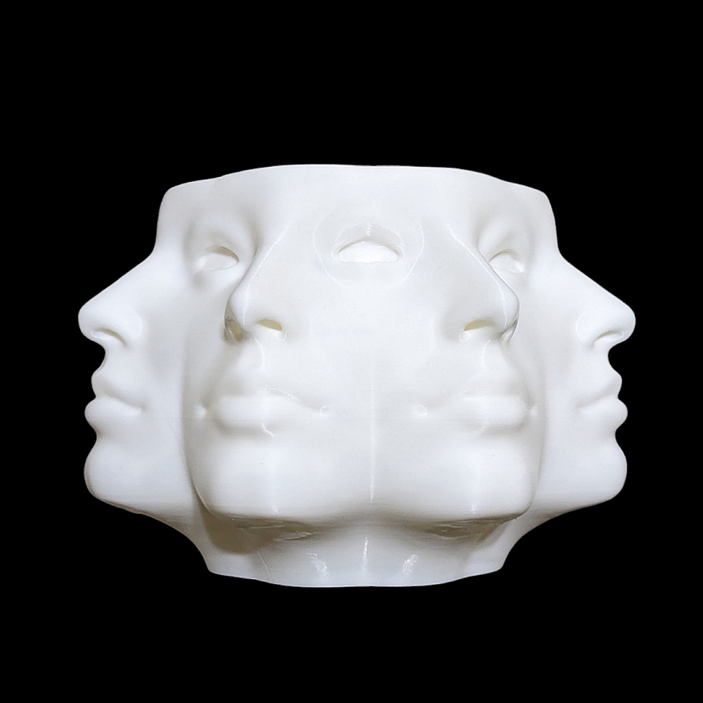 Multi-Face Planter, Face Plant Pot -3D Printed Plastic-White